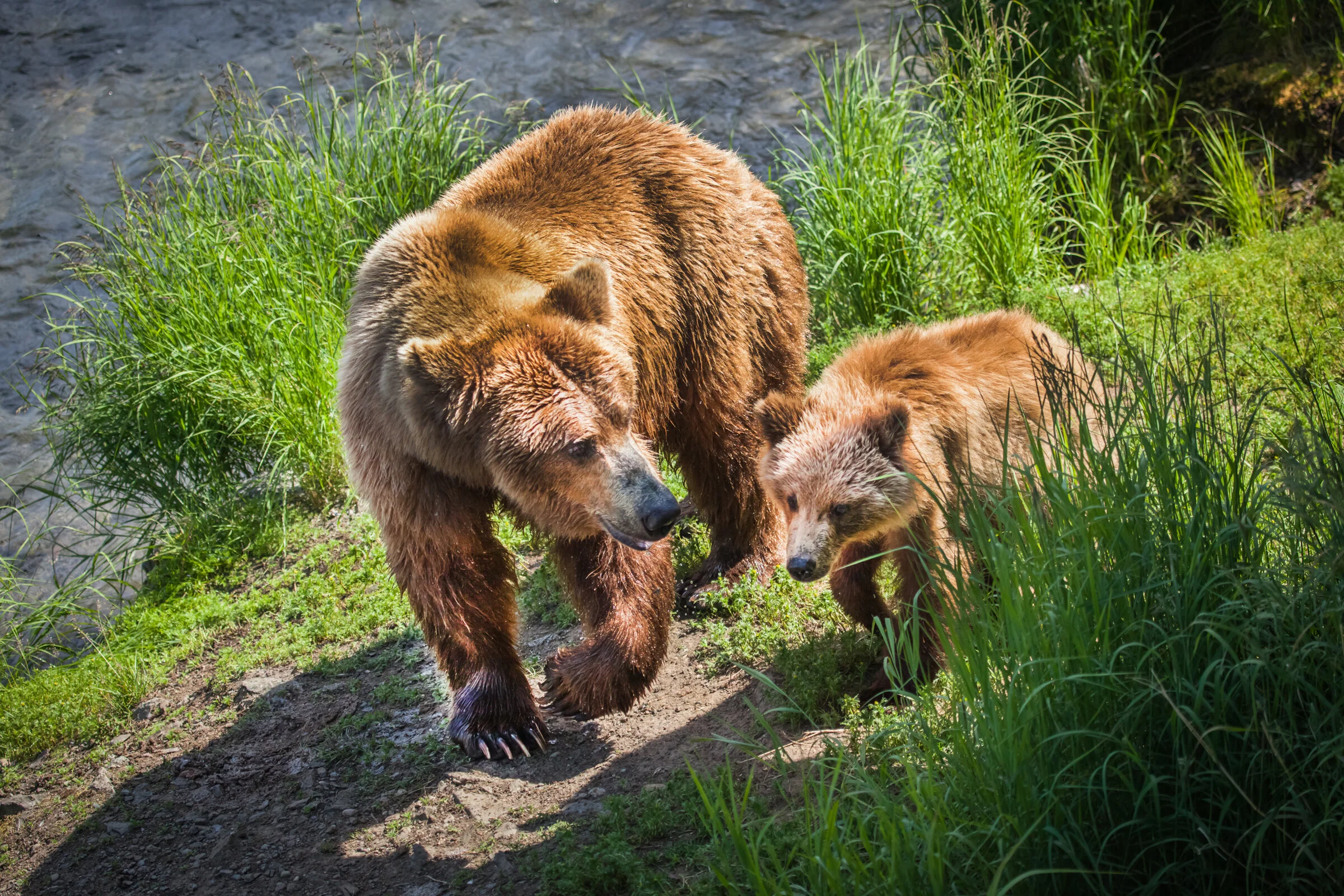 0359 Walk along the Riverbank.JPG