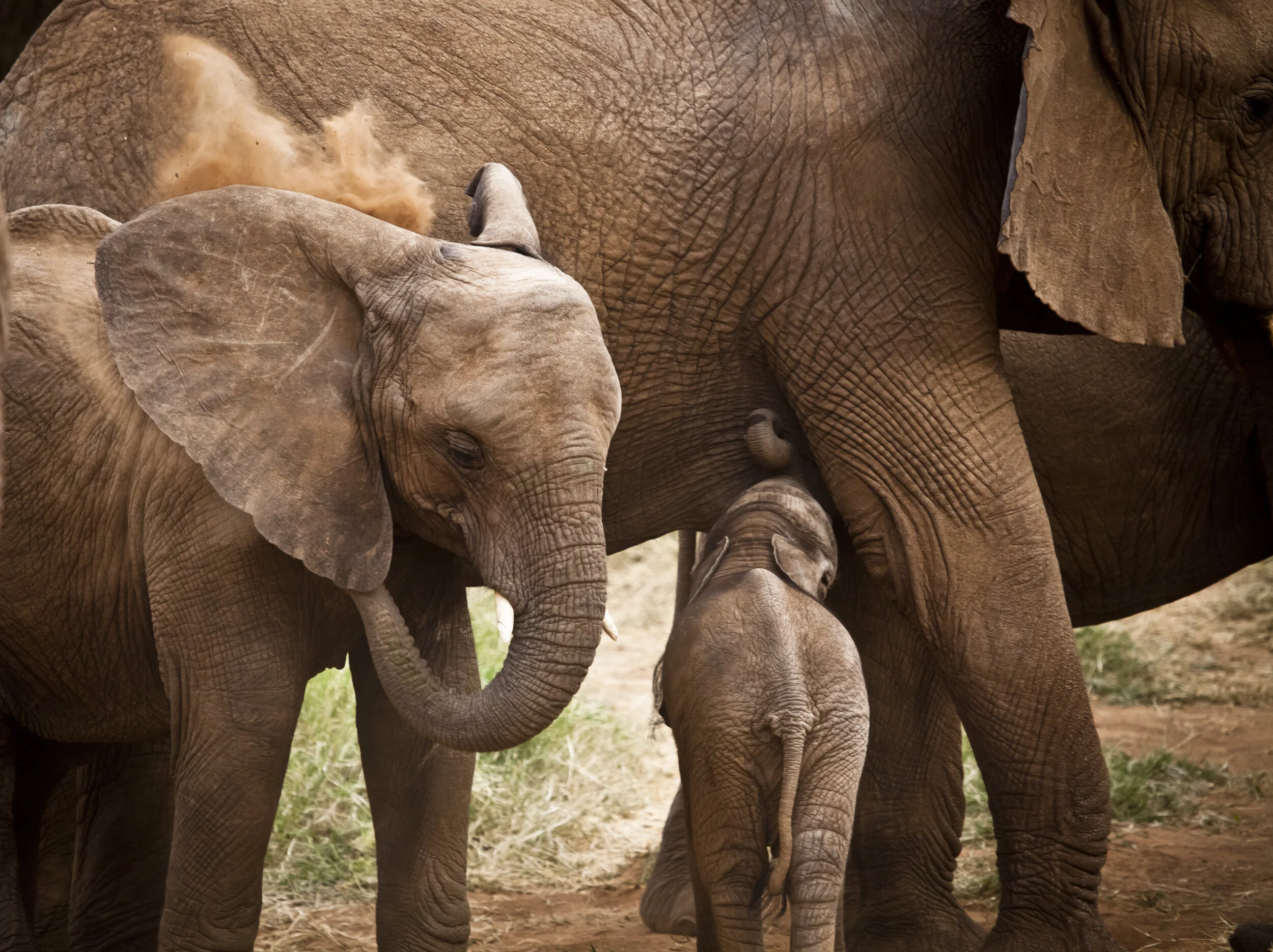 0341 Mother's Gift.jpg