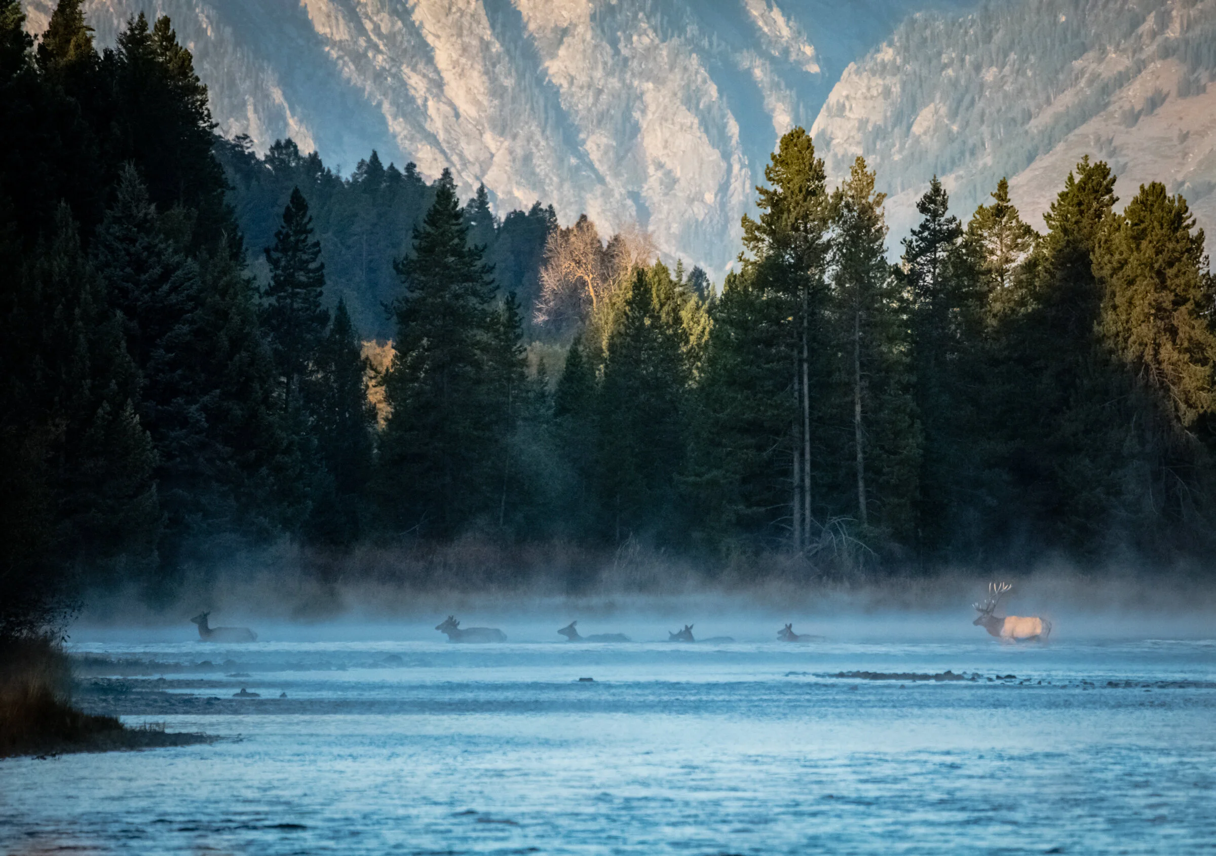 0435 Elk Crossing.JPG