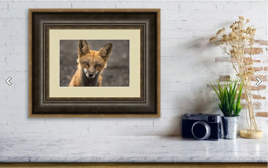 Framed Image with camera.jpg