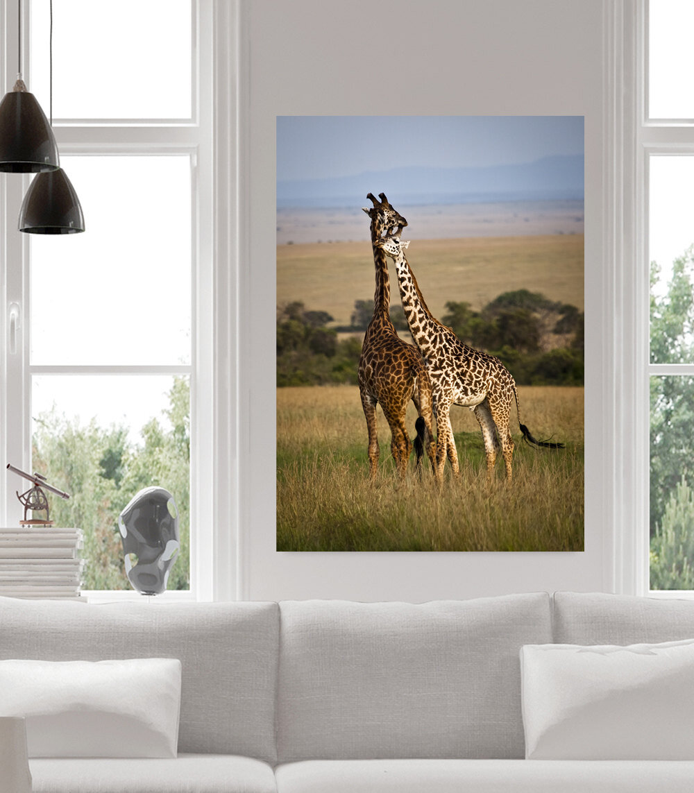 f7a9336f331e85bca113f6d7d5ca8a5d - Necking.jpg