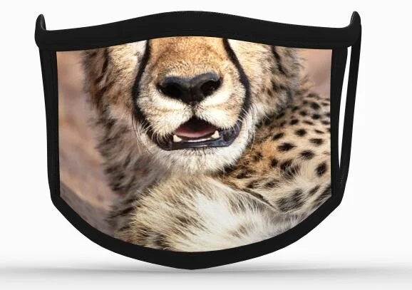 Cheetah Flat Face Mask.JPG
