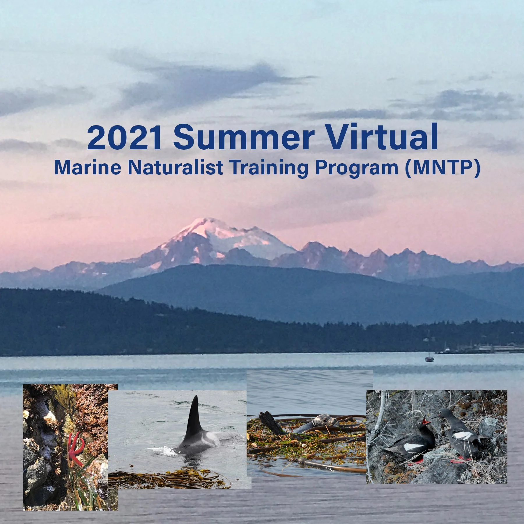 2021 Virtual Summer MNTP