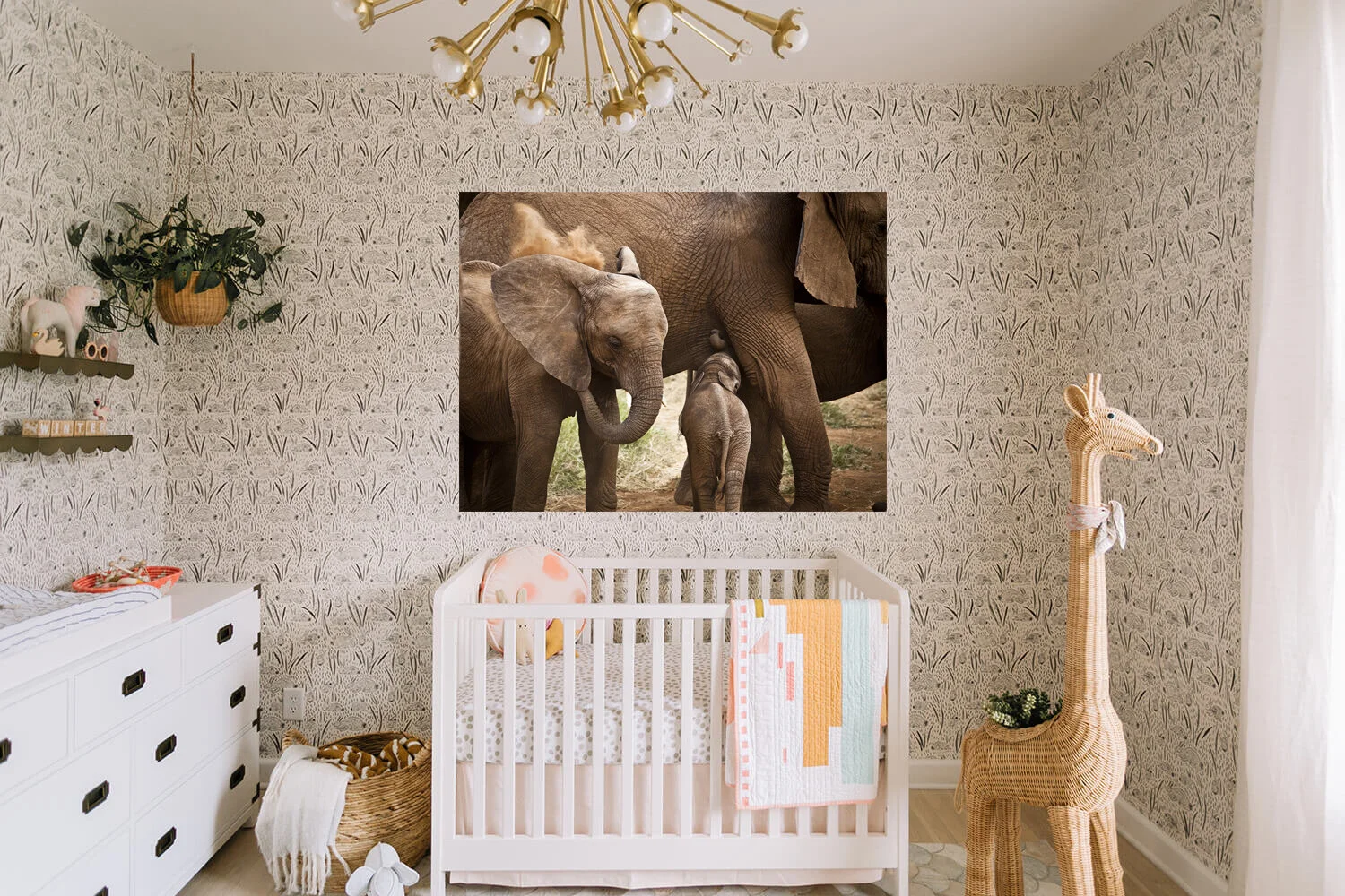 Elephant Nursery.jpg