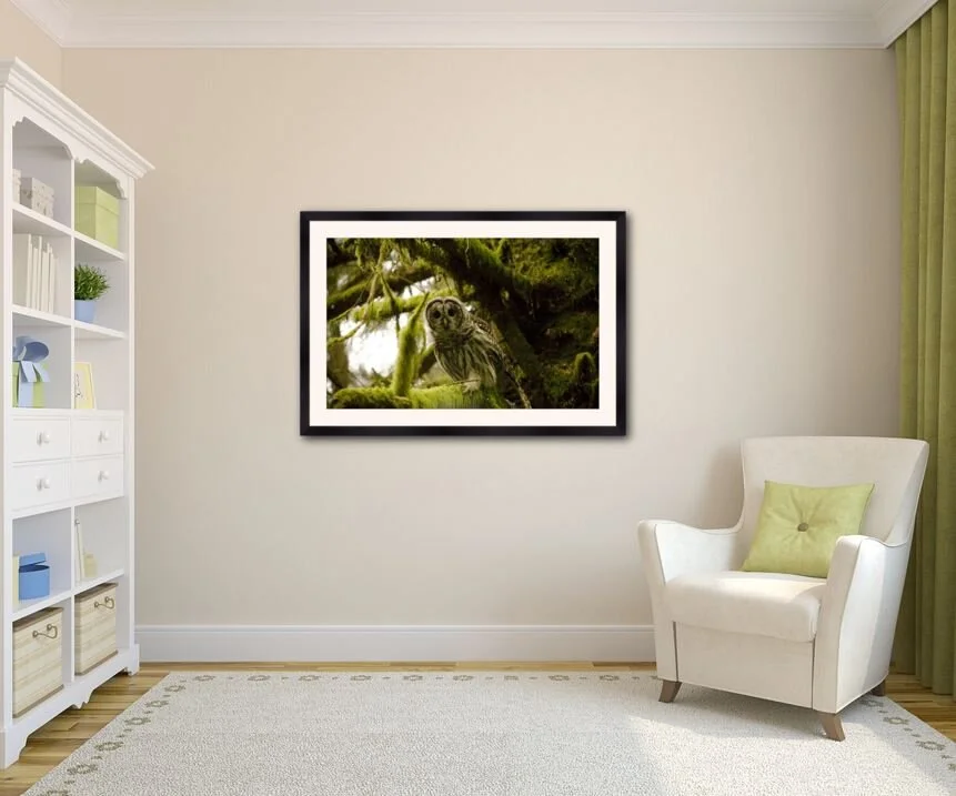 Ruler of the Trees.JPG