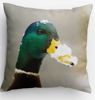 Duck Pillow.JPG