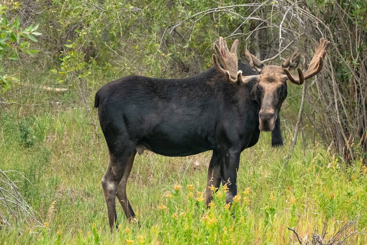 DSC_4063.JPG