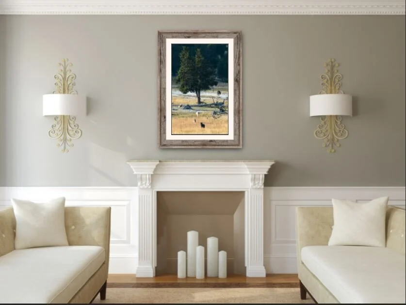 And the Wolves Decended.JPG