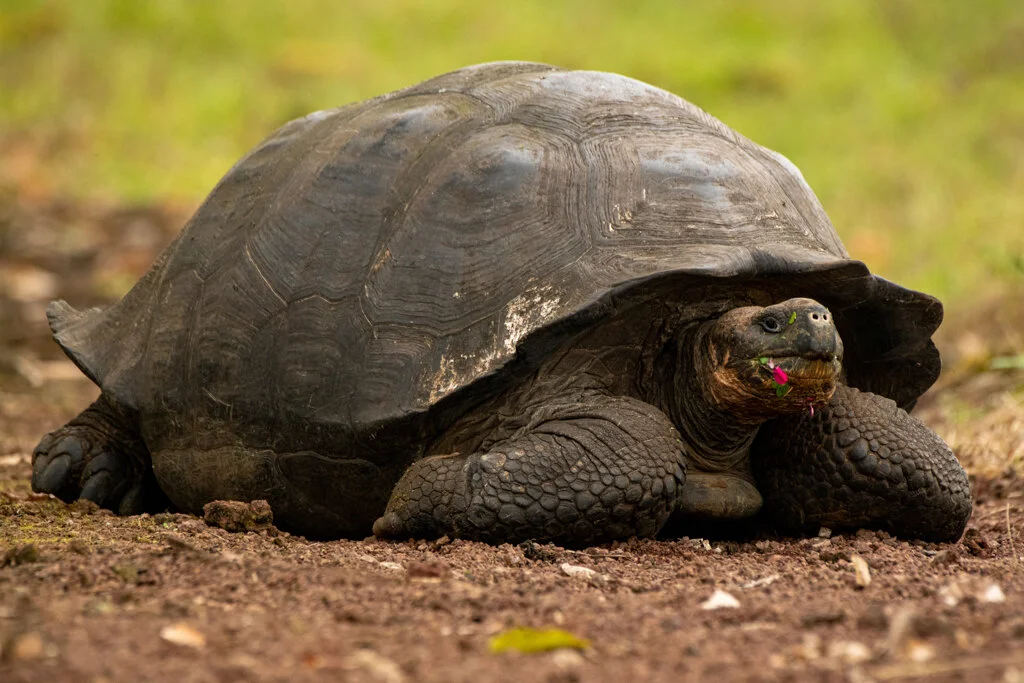 10 Reasons Why Ecuador Should Be Your Next Travel Destination! 