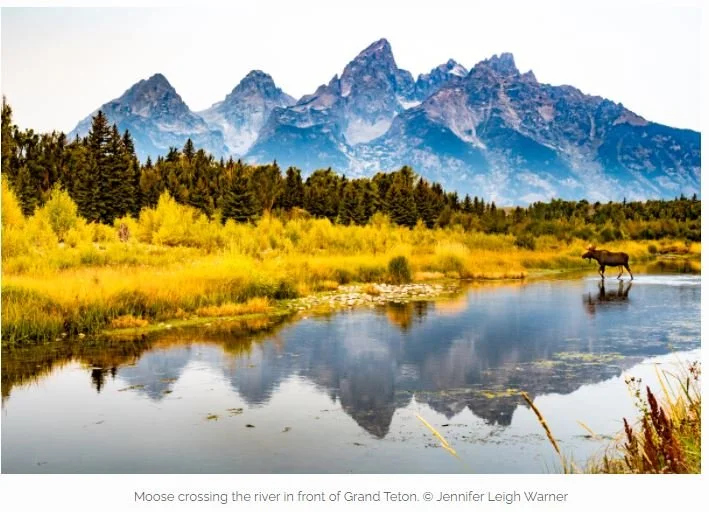 Eight Reasons to Go on a NANPA Regional Event