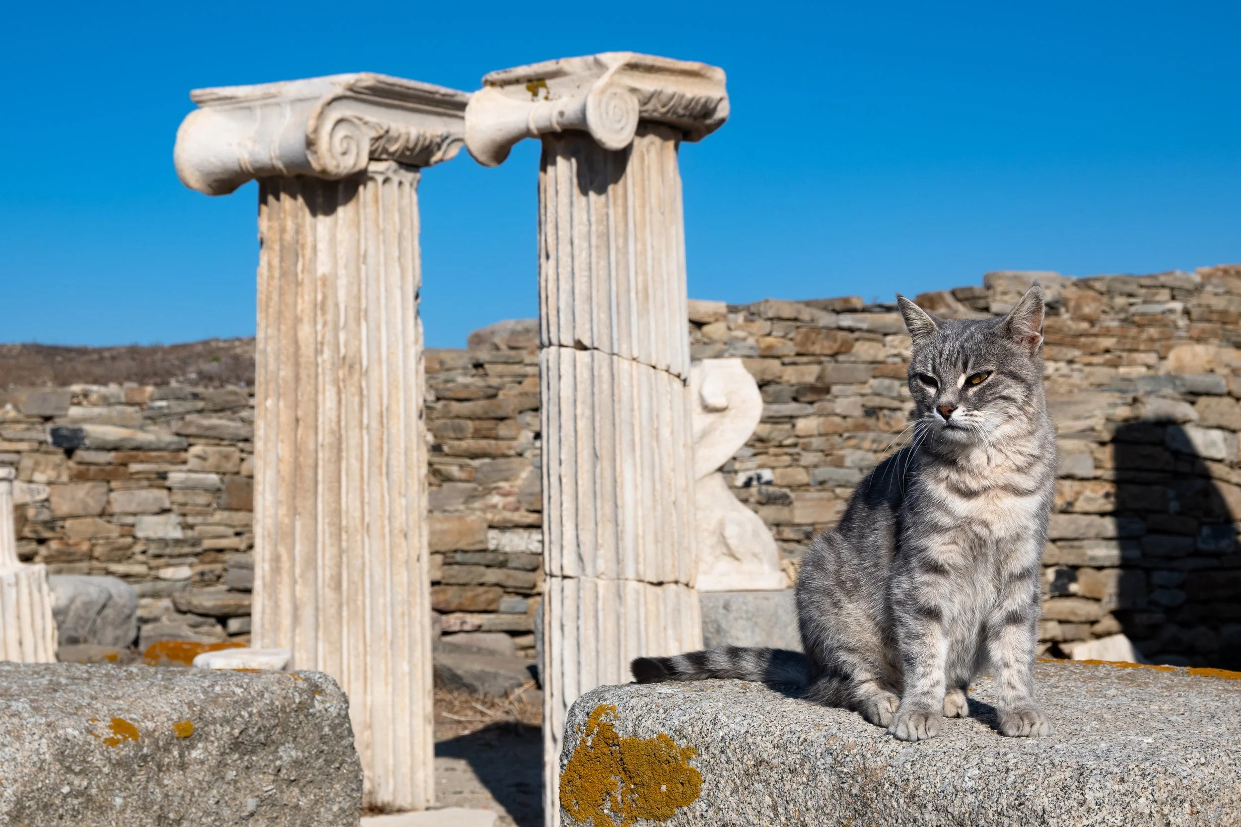 1004 Guardian of the Ruines .JPG