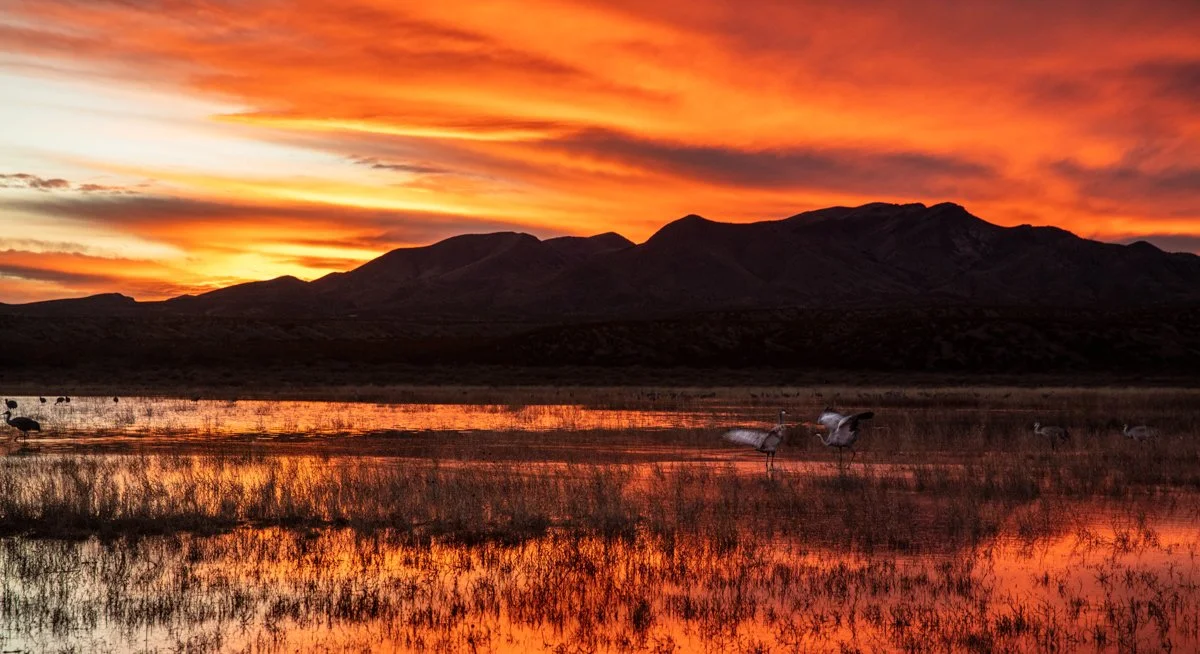 1003 Dancing at Sunset.JPG