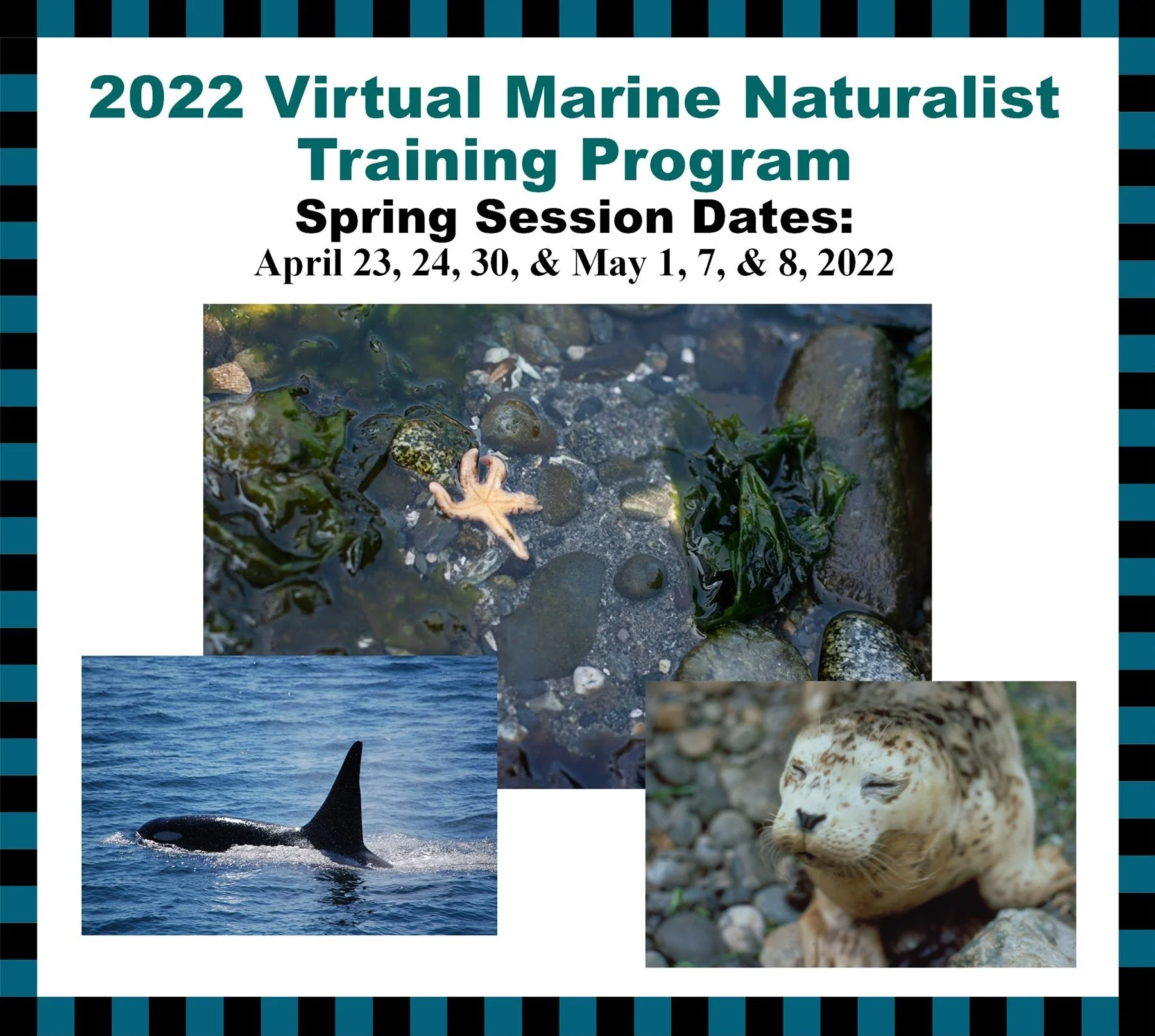2022 Spring Virtual Marine Naturalist Training Program (MNTP) - Speaker