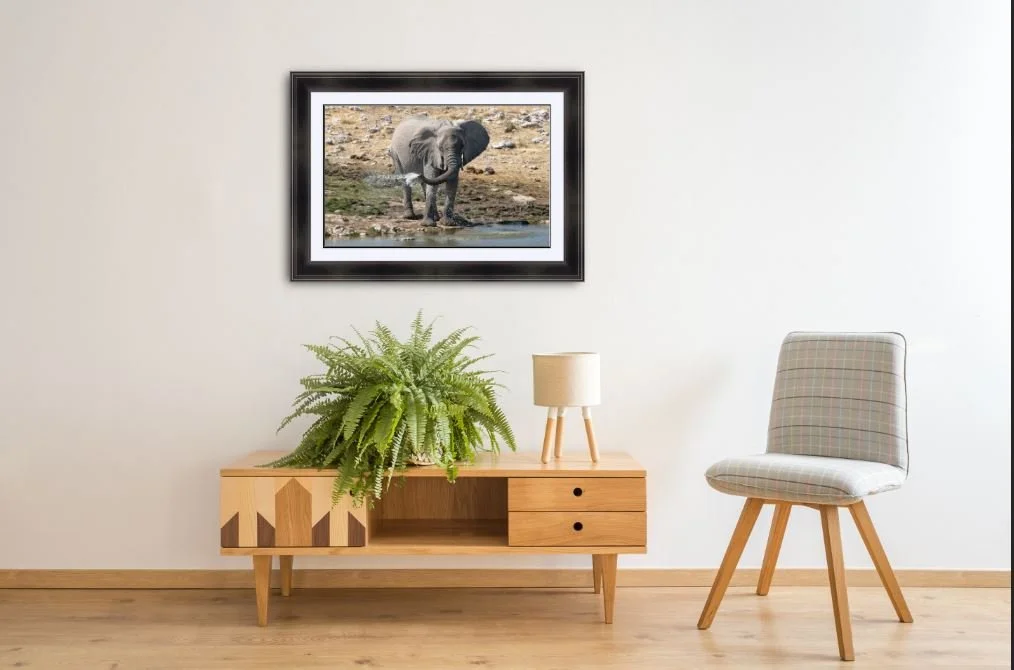 Spraying Water - Room.JPG