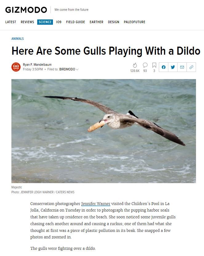 Gizmodo 3.JPG