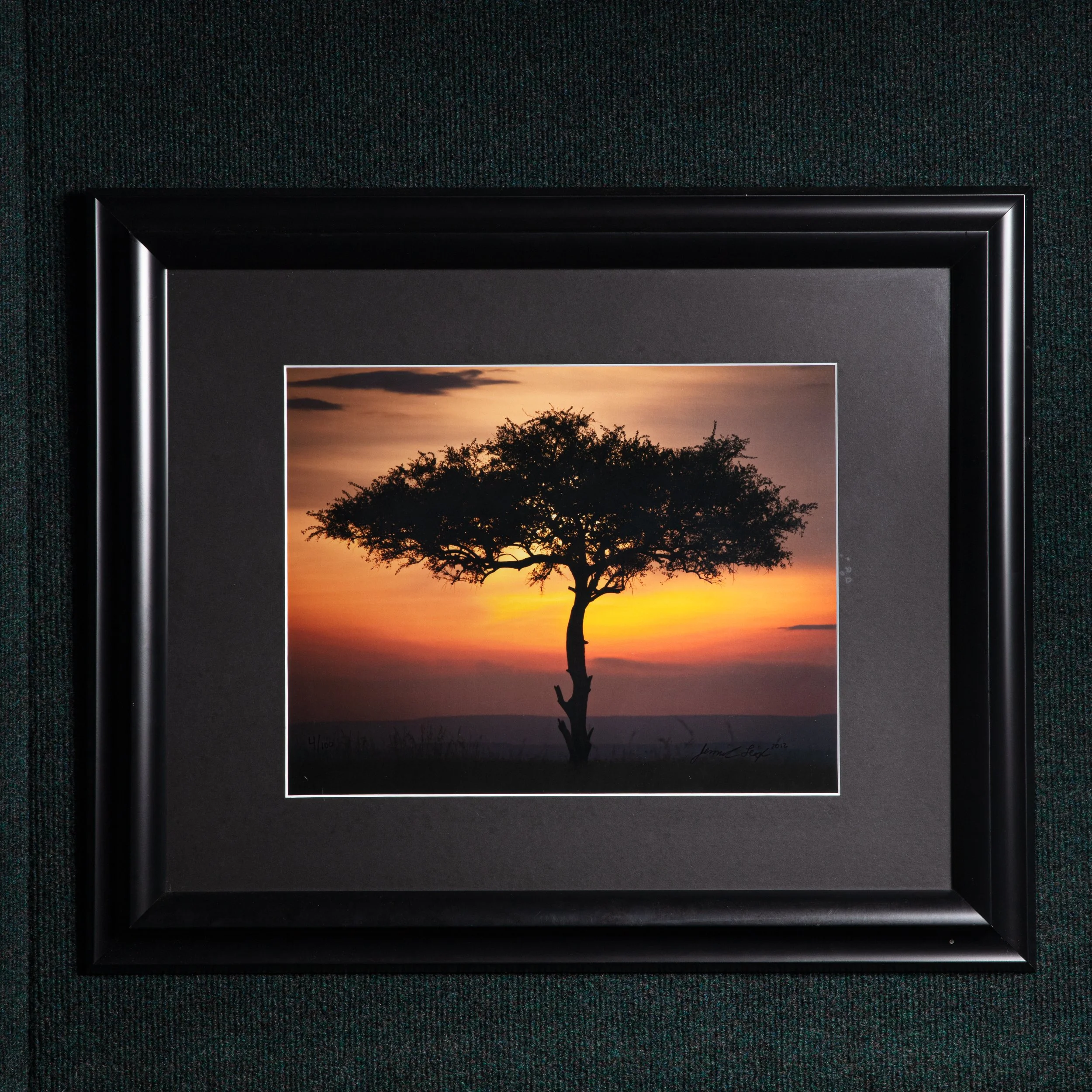 0326 This is Africa Framed 11x14