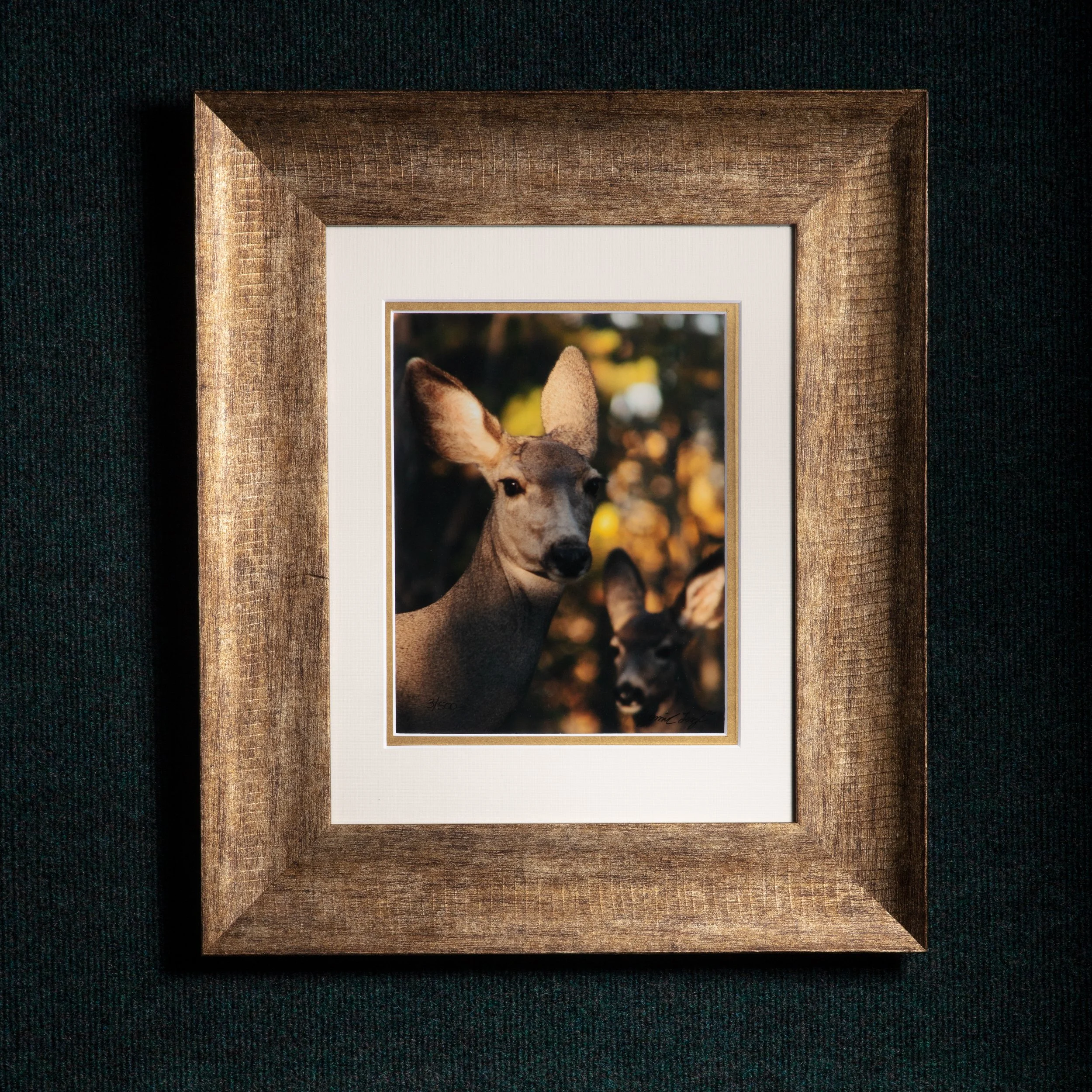 076 Mother & Daughter Framed 8x10