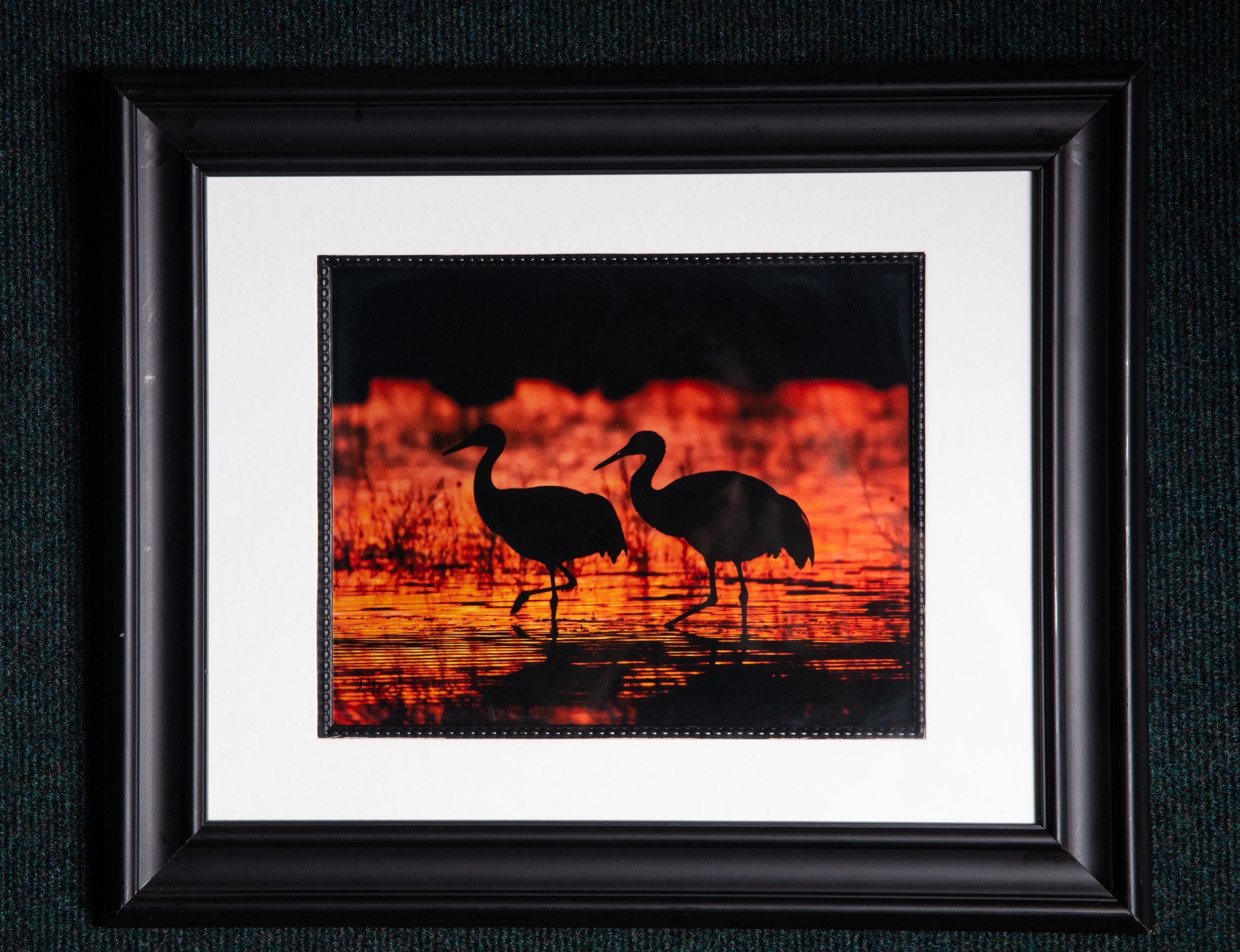 0763 Sandhill Cranes at Sunset Framed 8x10