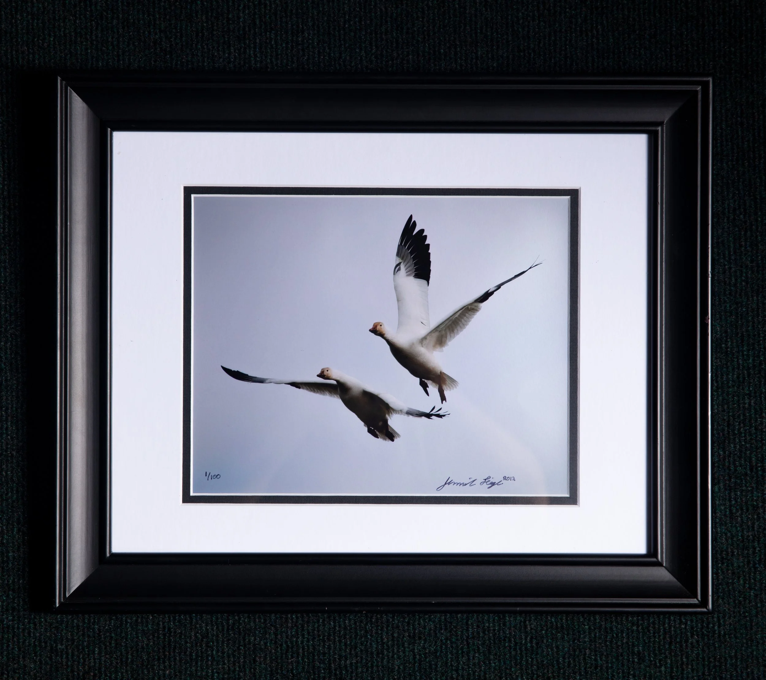 0413 Snow Goose Pair Framed 8x10