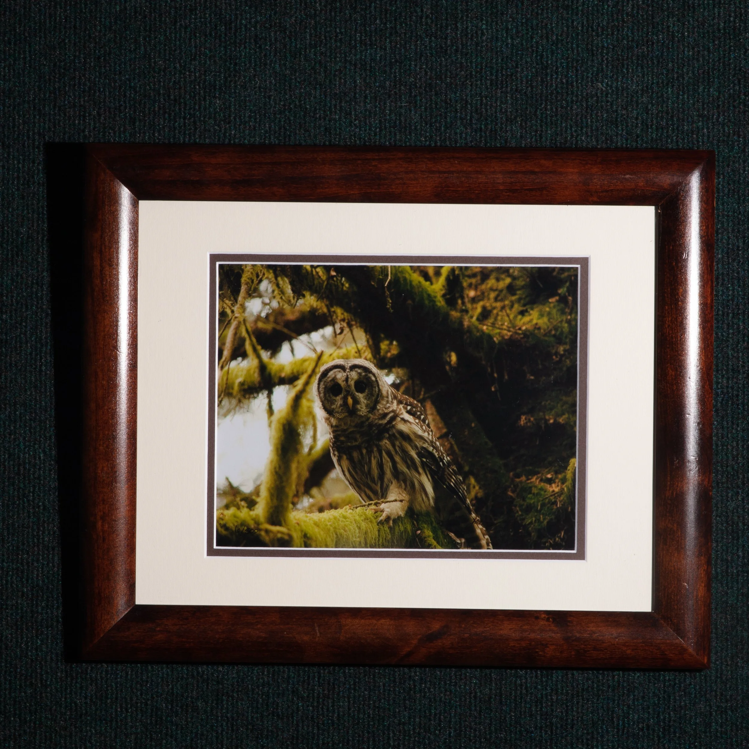 0143 Ruler of the Trees Framed 8x10