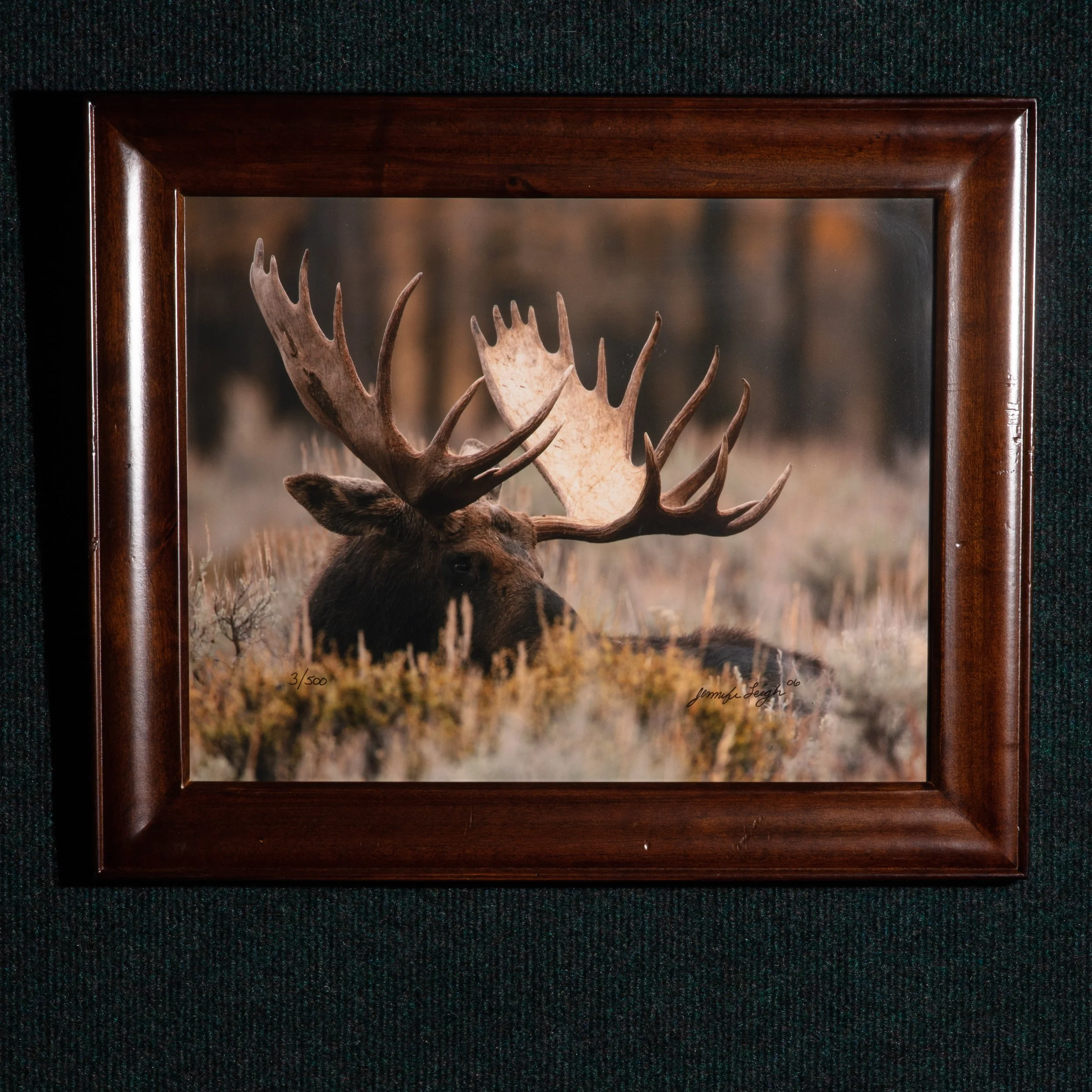 066 The Stud Framed 11x14