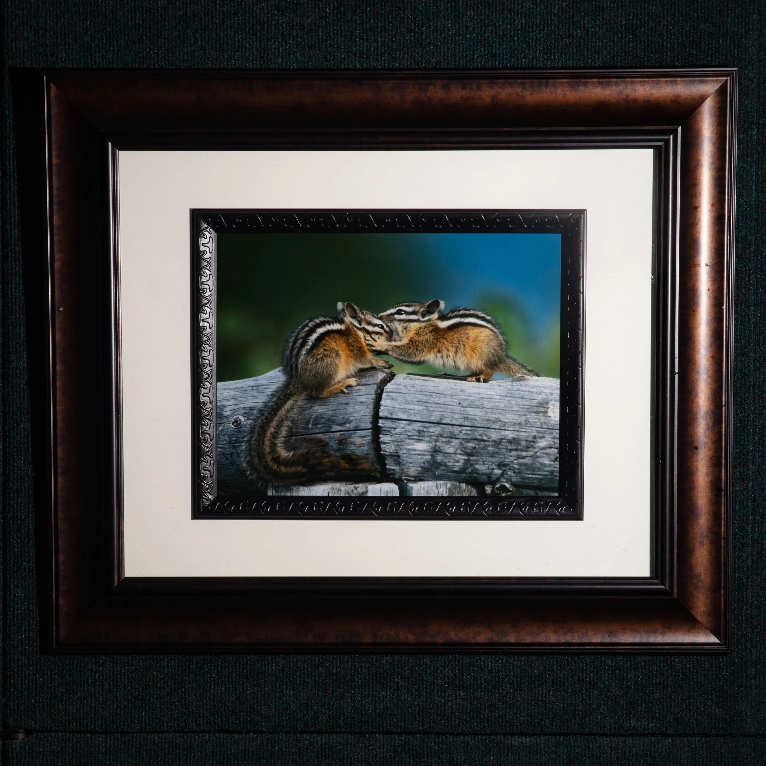 0711 Chipmunk Kisses Framed 16x20