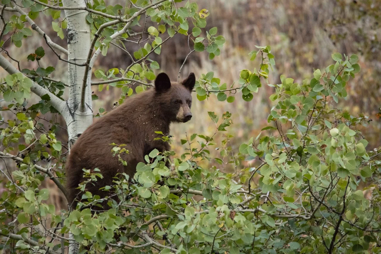 0679 Vantage Point Metal 8x10