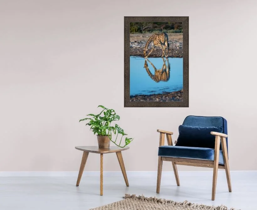 Giraffee Relections.JPG