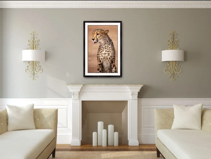 Cheetah Conservation Fund - Tonge Out