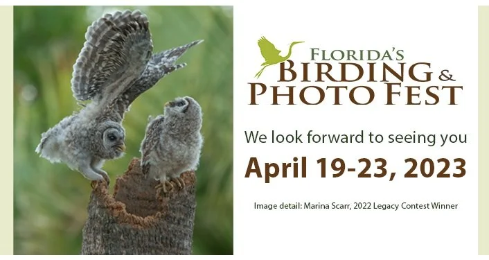 2023 Florida's Birding &amp; Photo Fest - Speaker &amp; Workshop Leader