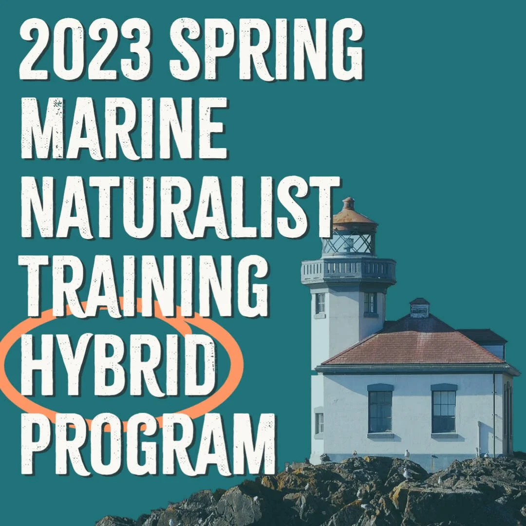 2023 Spring Virtual Marine Naturalist Training Program (MNTP) - Speaker 