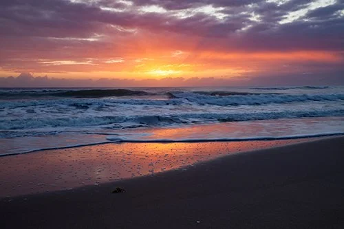 FREE: Why Are You Leaving? The Importance of Arriving Early &amp; Staying Late for Best Lighting Conditions