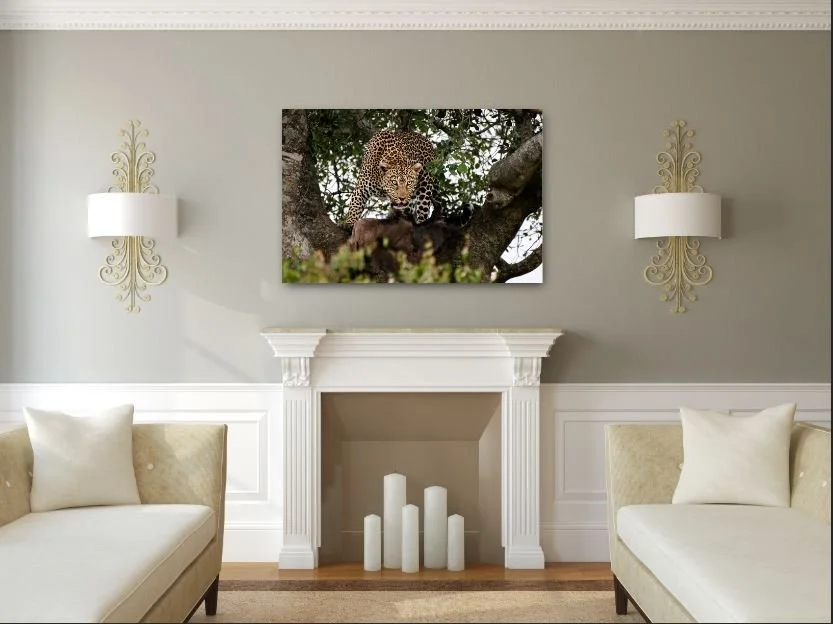 1111 Leopard in Tree.JPG