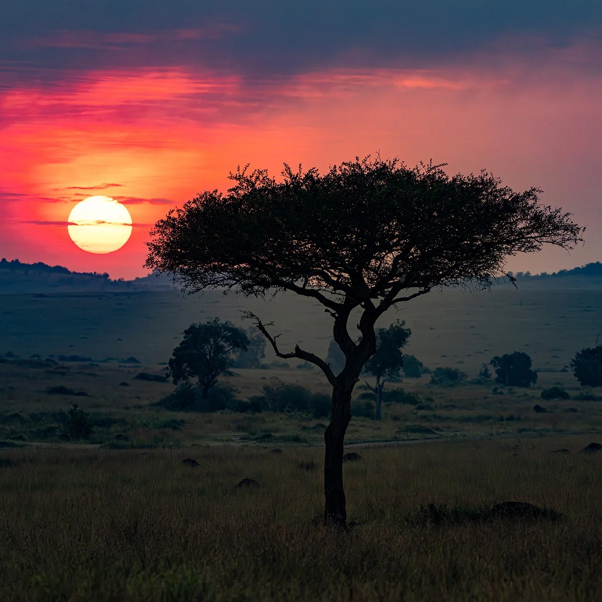 1116 Sunset in Africa