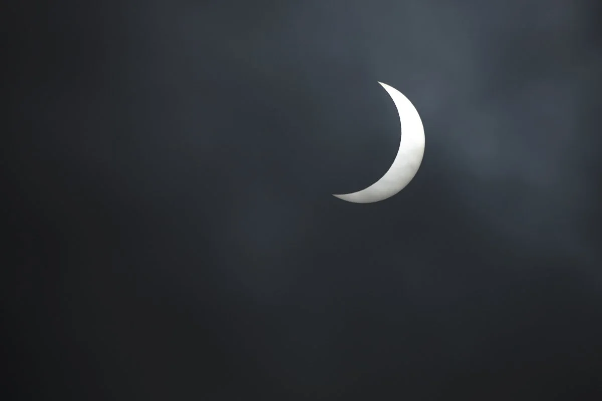 Solar Eclipse and Texas Wildflowers Regional Event