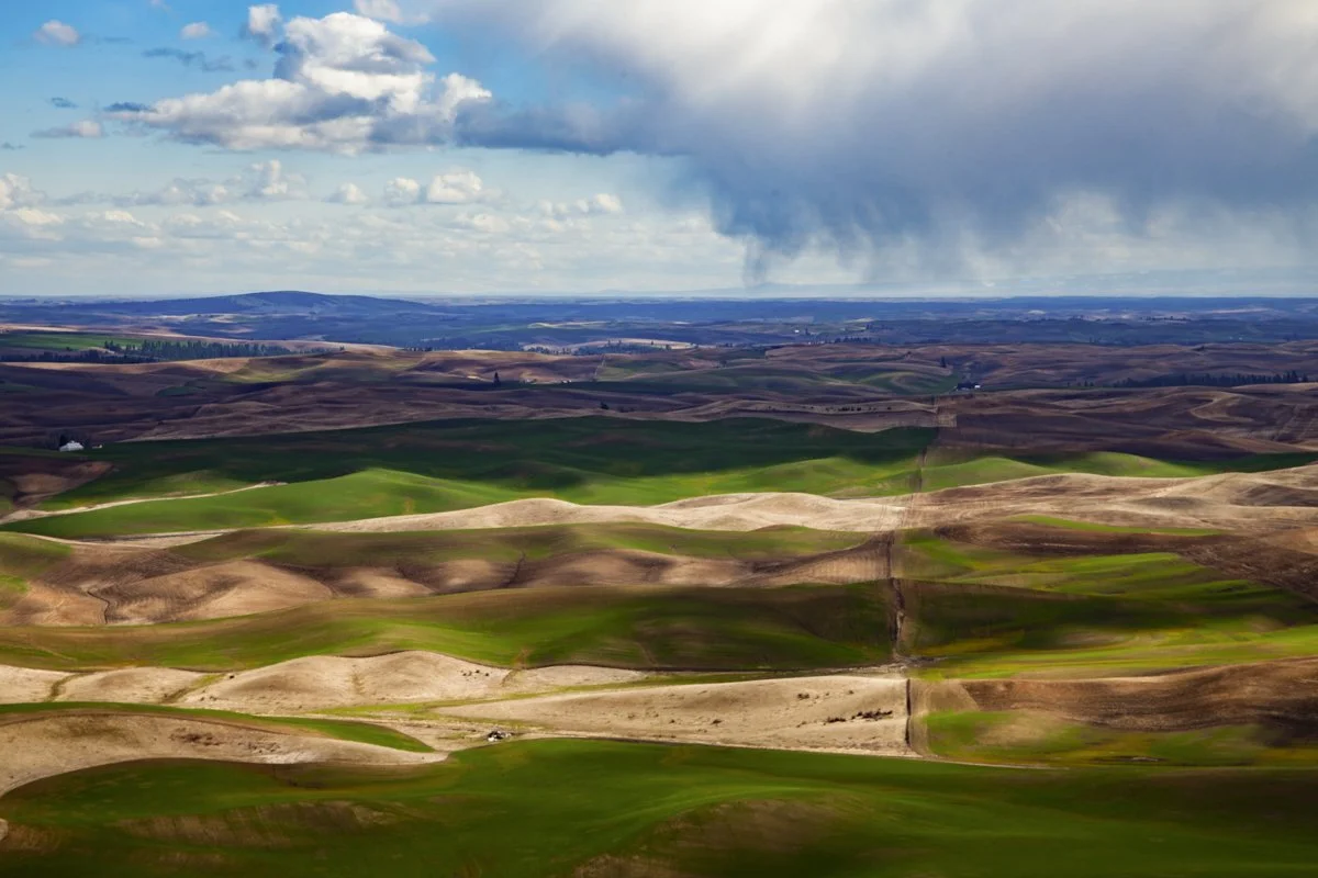 WASHINGTON: Palouse Landscape Photography