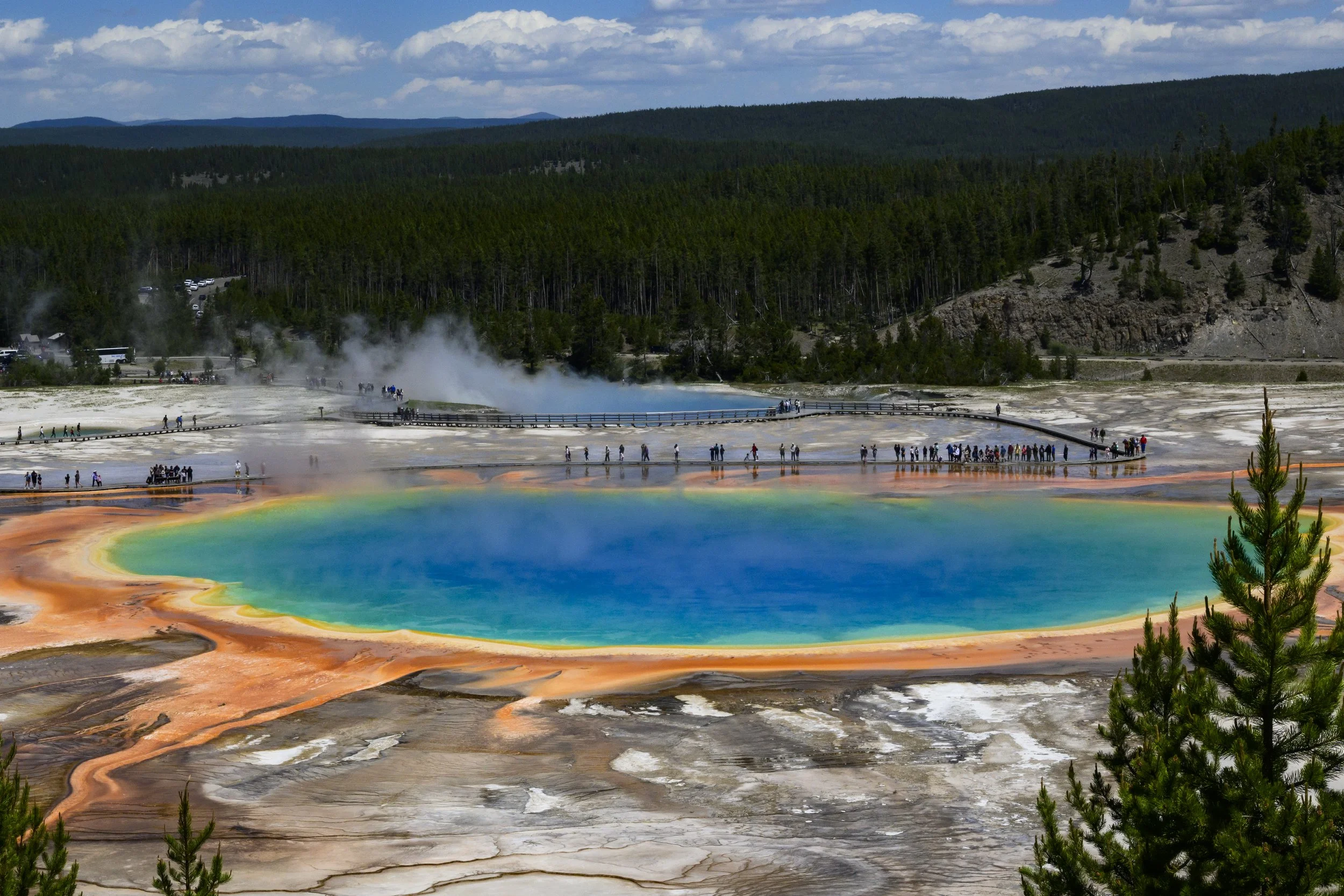 YELLOWSTONE: Spring Photography 