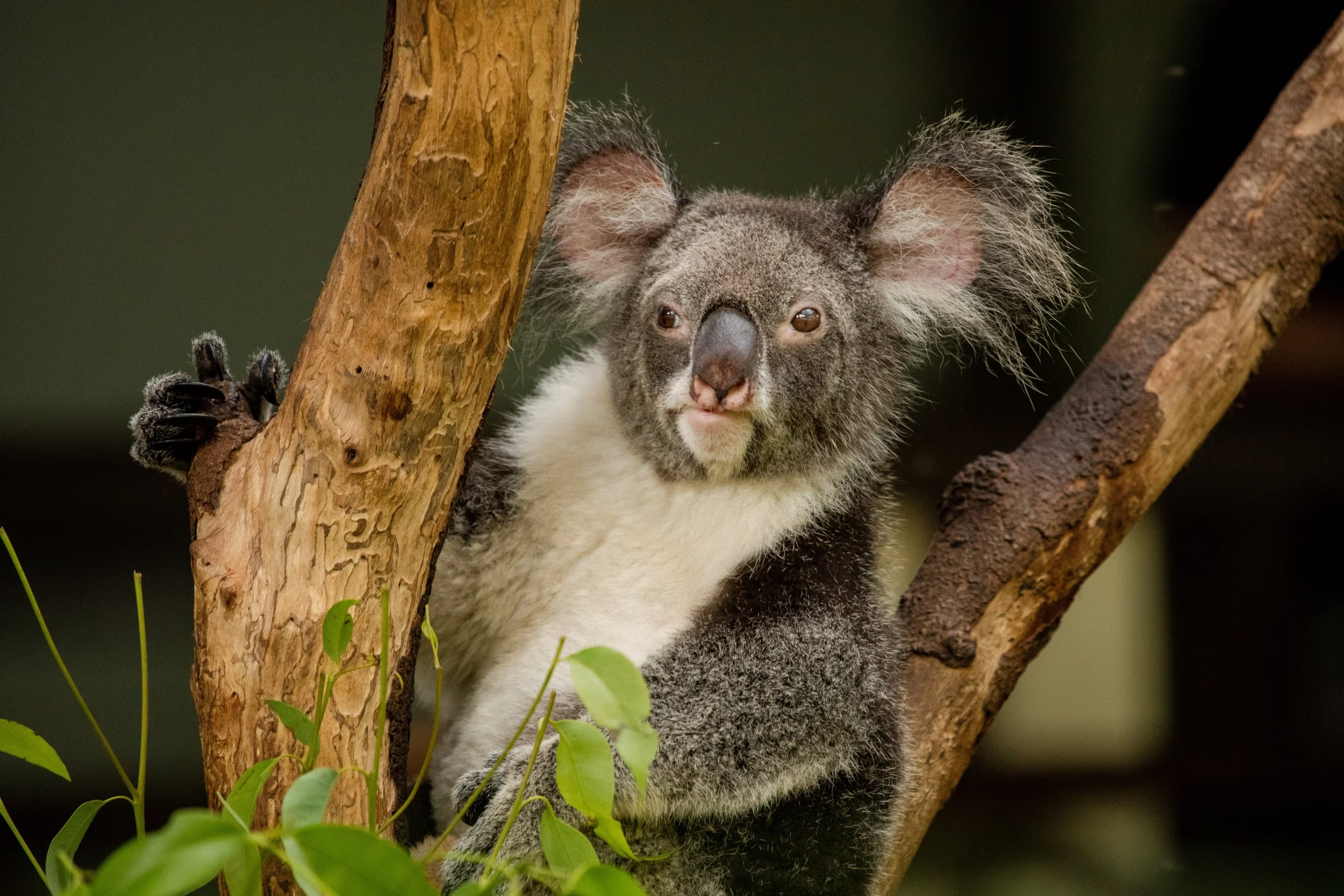 Conservation Storytelling Bootcamp