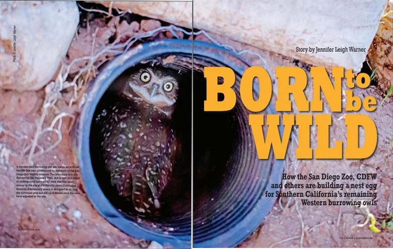 Outdoor California Magazine