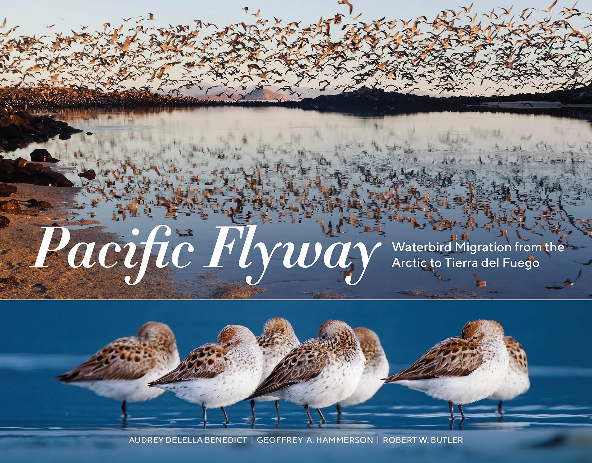 Pacific Flyway Book