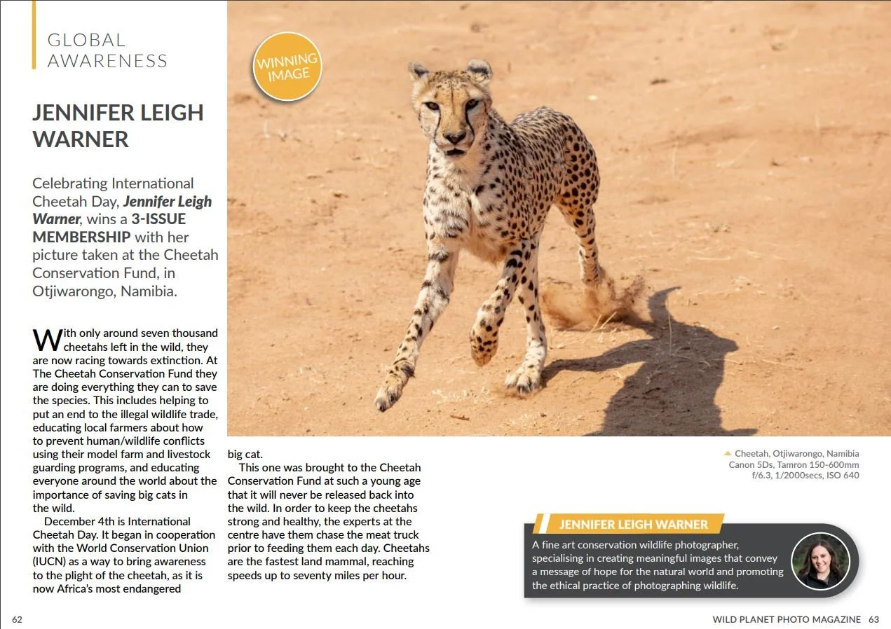 Wild Planet Photo Magazine