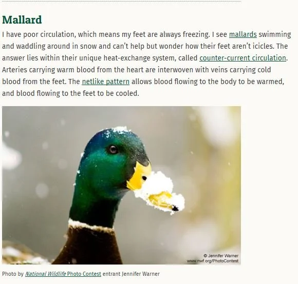 National Wildlife Federation