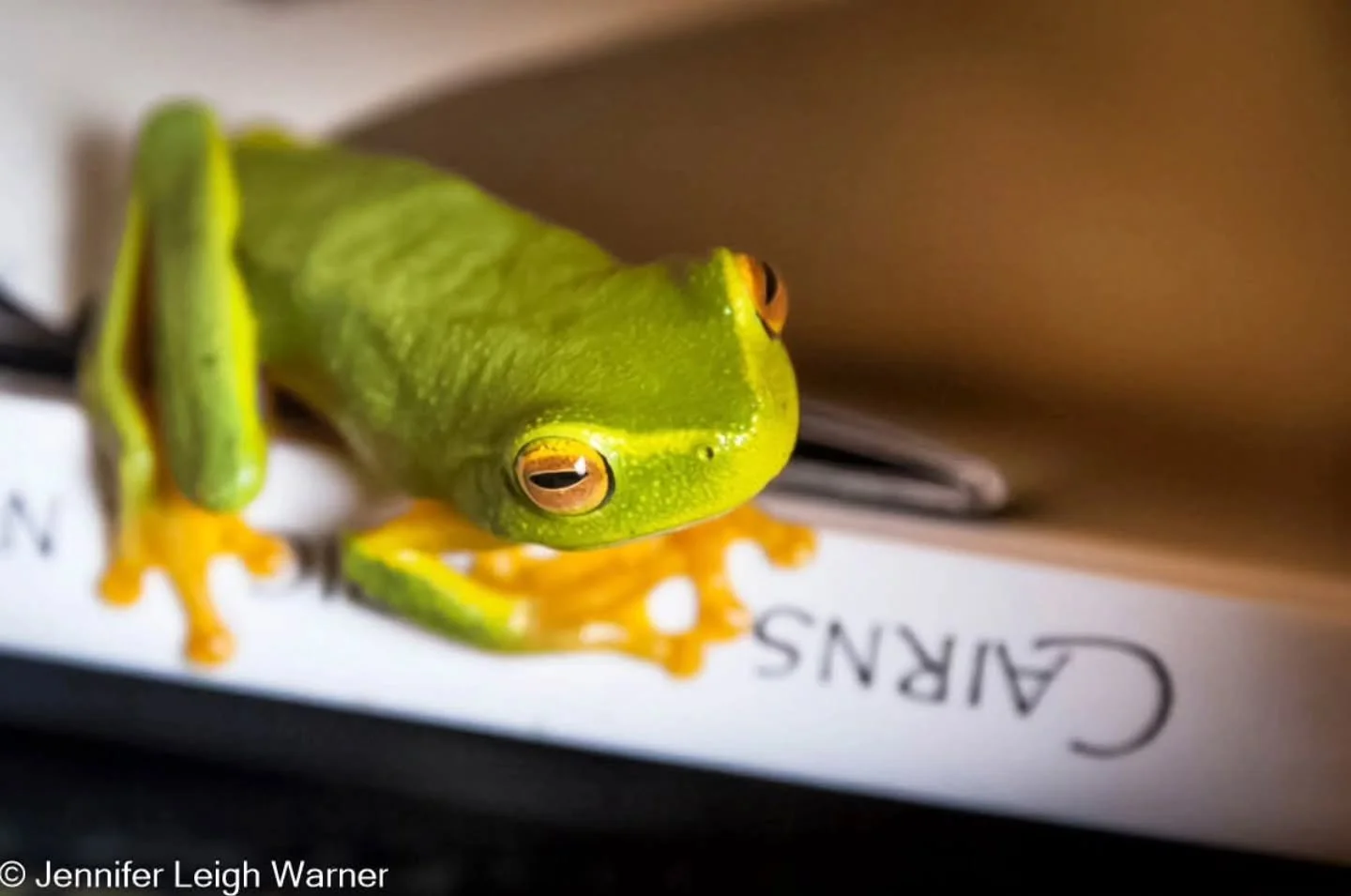 Big announcement is being dropped tomorrow for my newsletter subscribers.  Want in on the big news? Drop by my website and subscribe. You don't want to miss this one.