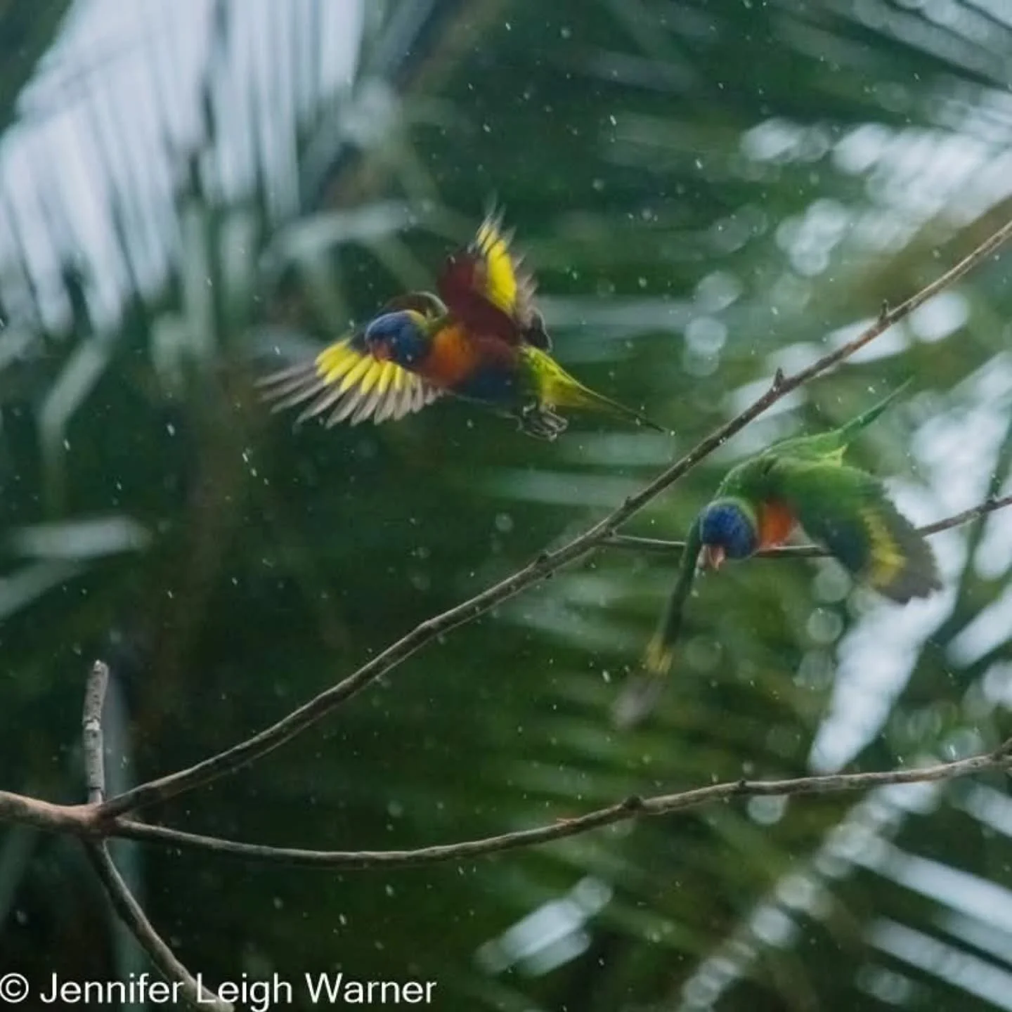 Are you ready for a trip of a lifetime???? Come back tomorrow for the BIG Announcement!