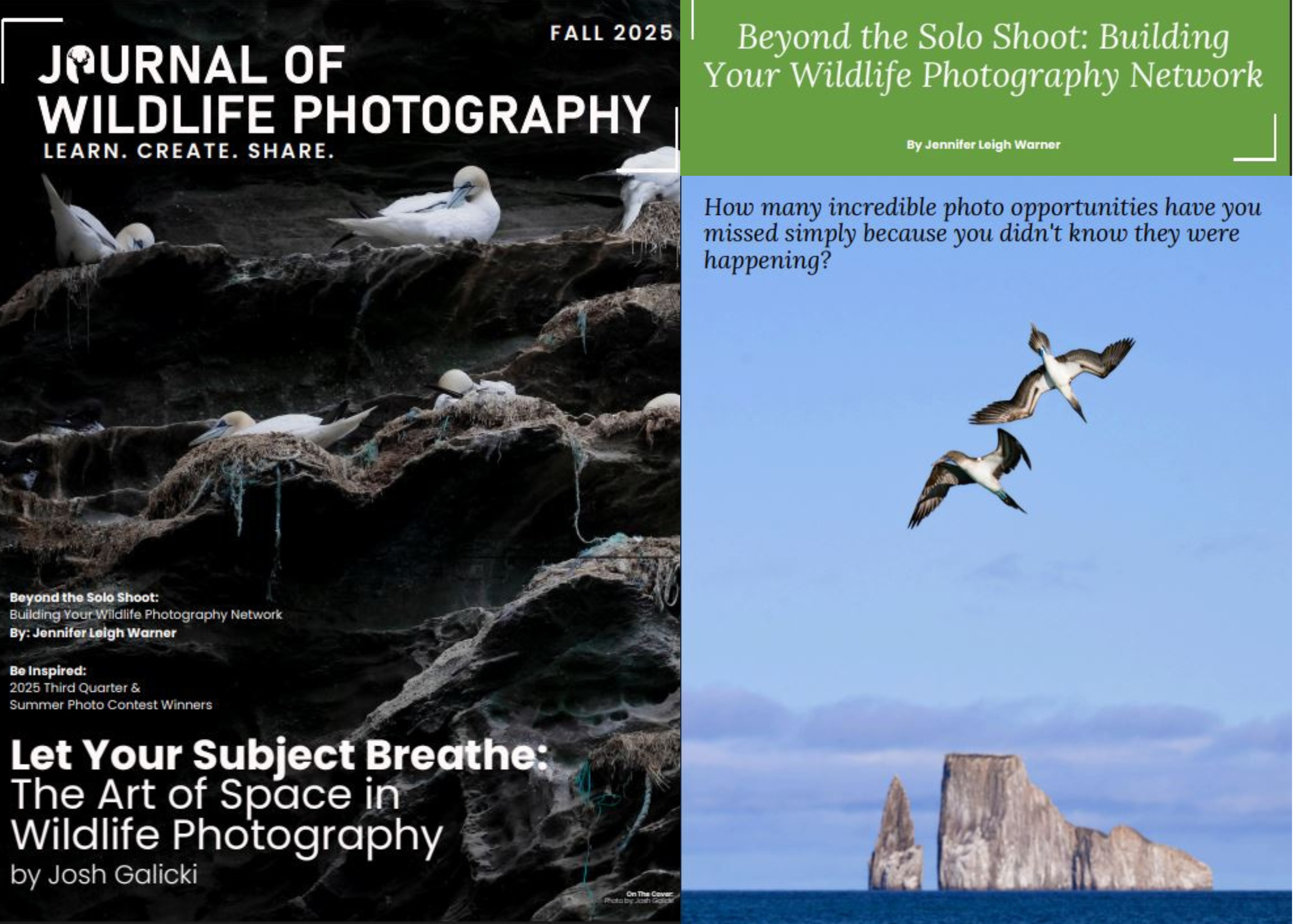 Journal of Wildlife Photography Magazine