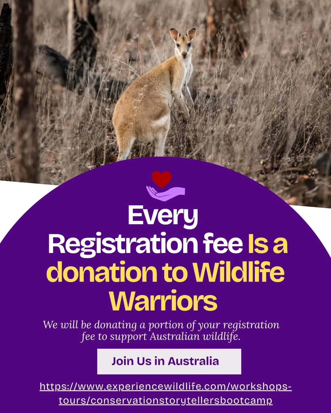 It's #GivingTuesday and one of Experience Wildlife's missions is to support conservation non-profits everywhere we go. During our Conservation Storytelling Bootcamp at Australia Zoo we will not only have the chance to work with Wildlife Warriors dire