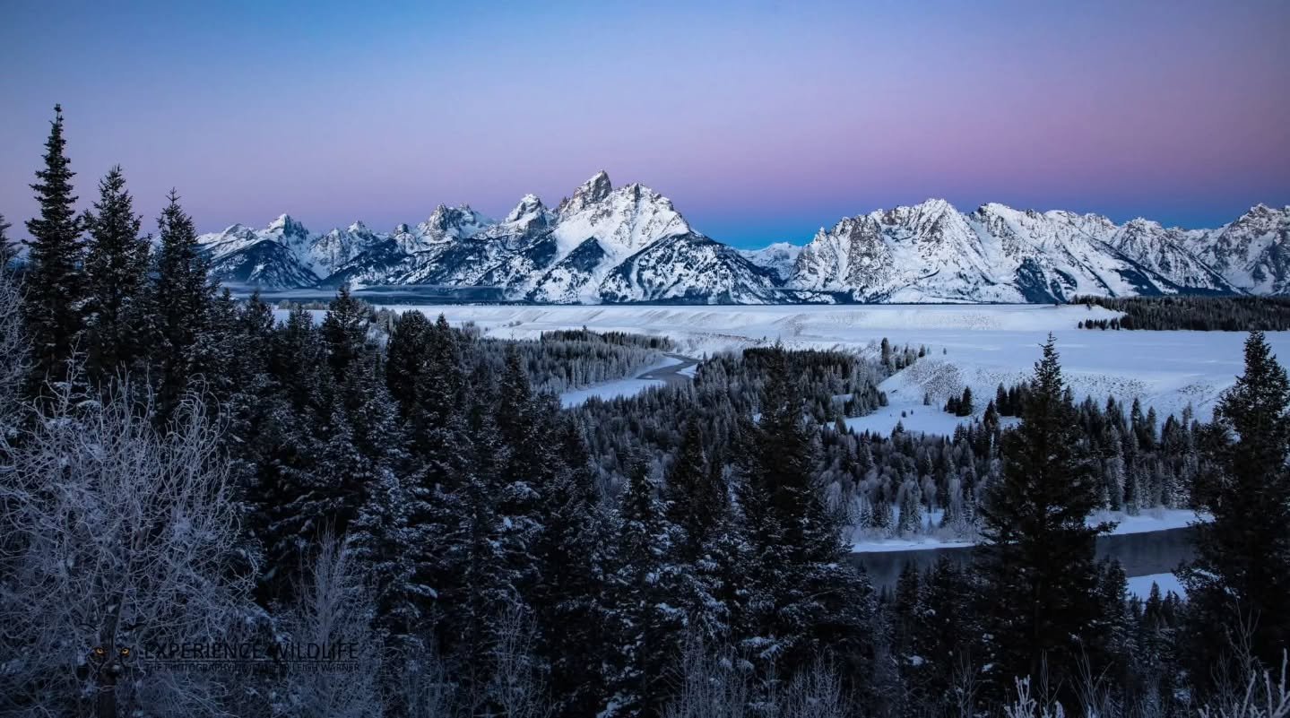 A few years ago, I traveled to Grand Teton National Park in the winter time. The mountains were covered in snow and the park was so quiet and peaceful.