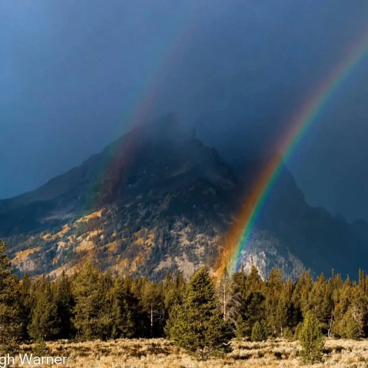 As 2025 comes to a close it is important to reflect back on the progress that has been made, the places that have been discovered and the memories that have been shared. Here are a few of my favorite images I made this year. From Texas to the Amazon 