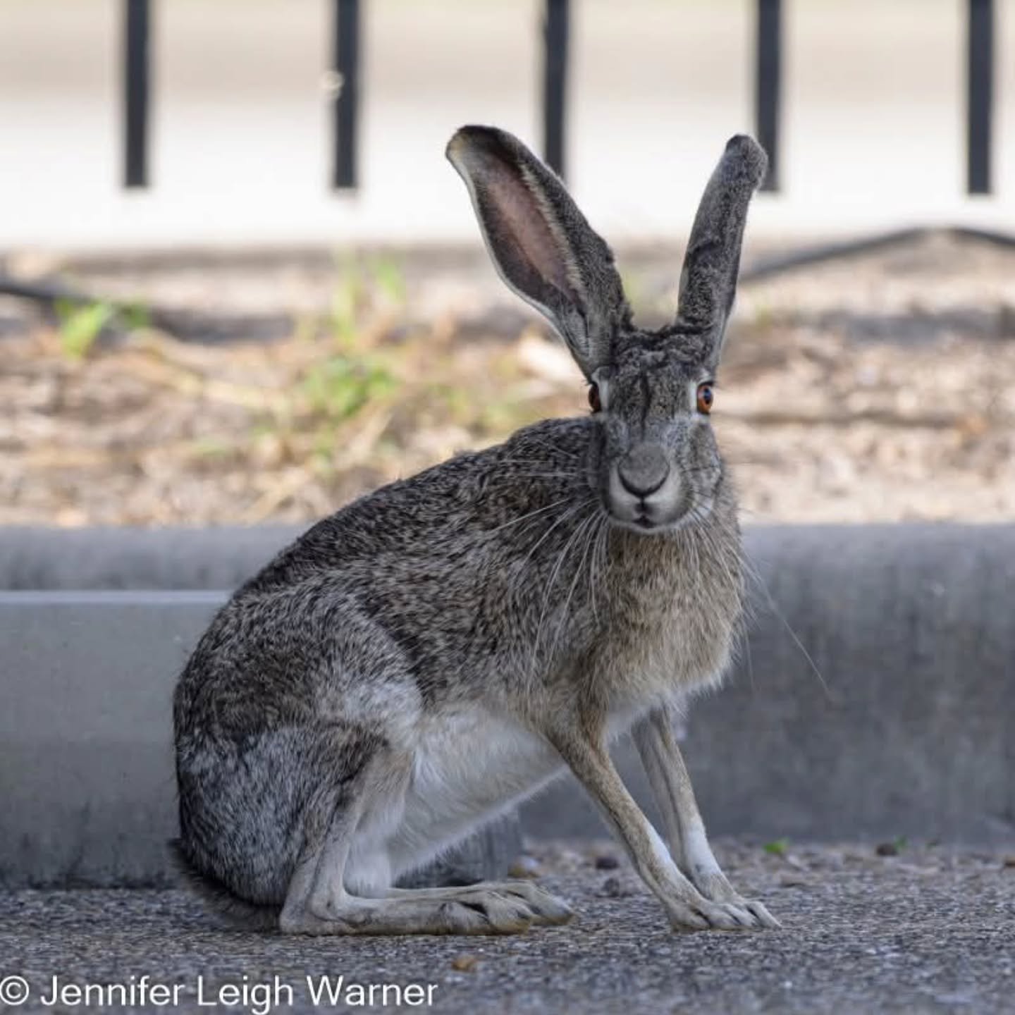 Wishing you a very happy Easter!