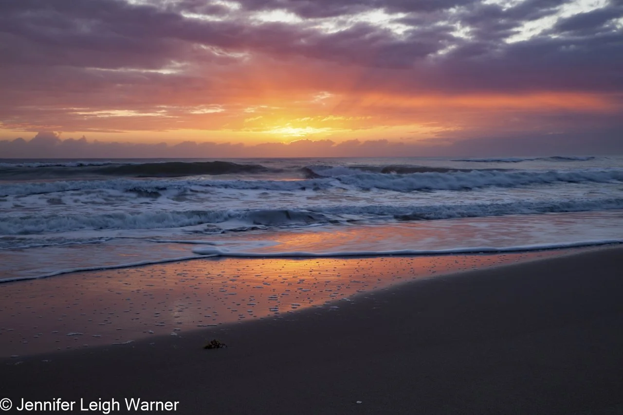Women in Wildlife Photography Florida - Jennifer Leigh Warner (10).JPG